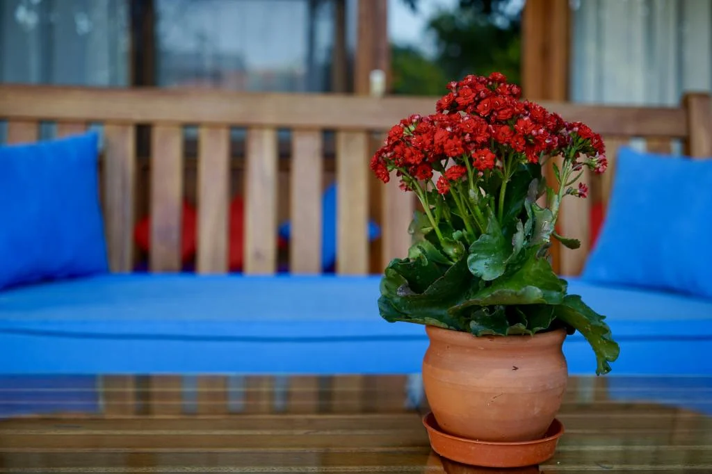 Piano Rooms Selimiye (Adult Only)